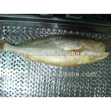 Frozen Yellow Croaker (whole round) Fish